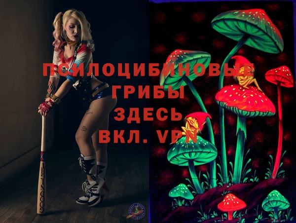 Альфа ПВП Бородино