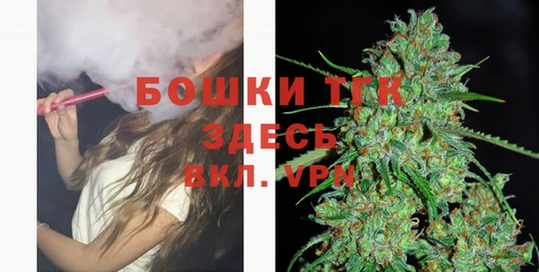 Альфа ПВП Бородино