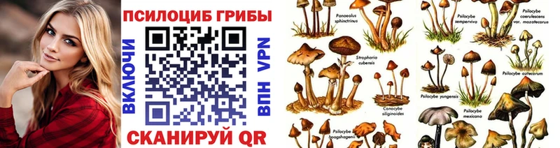 Галлюциногенные грибы мухоморы  цена   kraken как войти  Кировград 