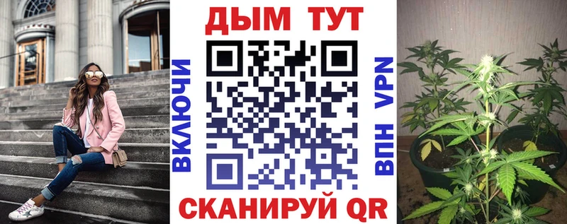 Шишки марихуана Bruce Banner  дарк нет клад  Кировград  мега как войти 
